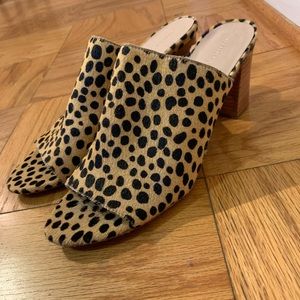 Loeffler Randall shoes